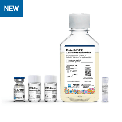 New kit of cell culture reagents: a large bottle labeled Xeno-Free Basal Medium flanked by several small vials and a tiny tube, with a blue NEW badge in the corner.