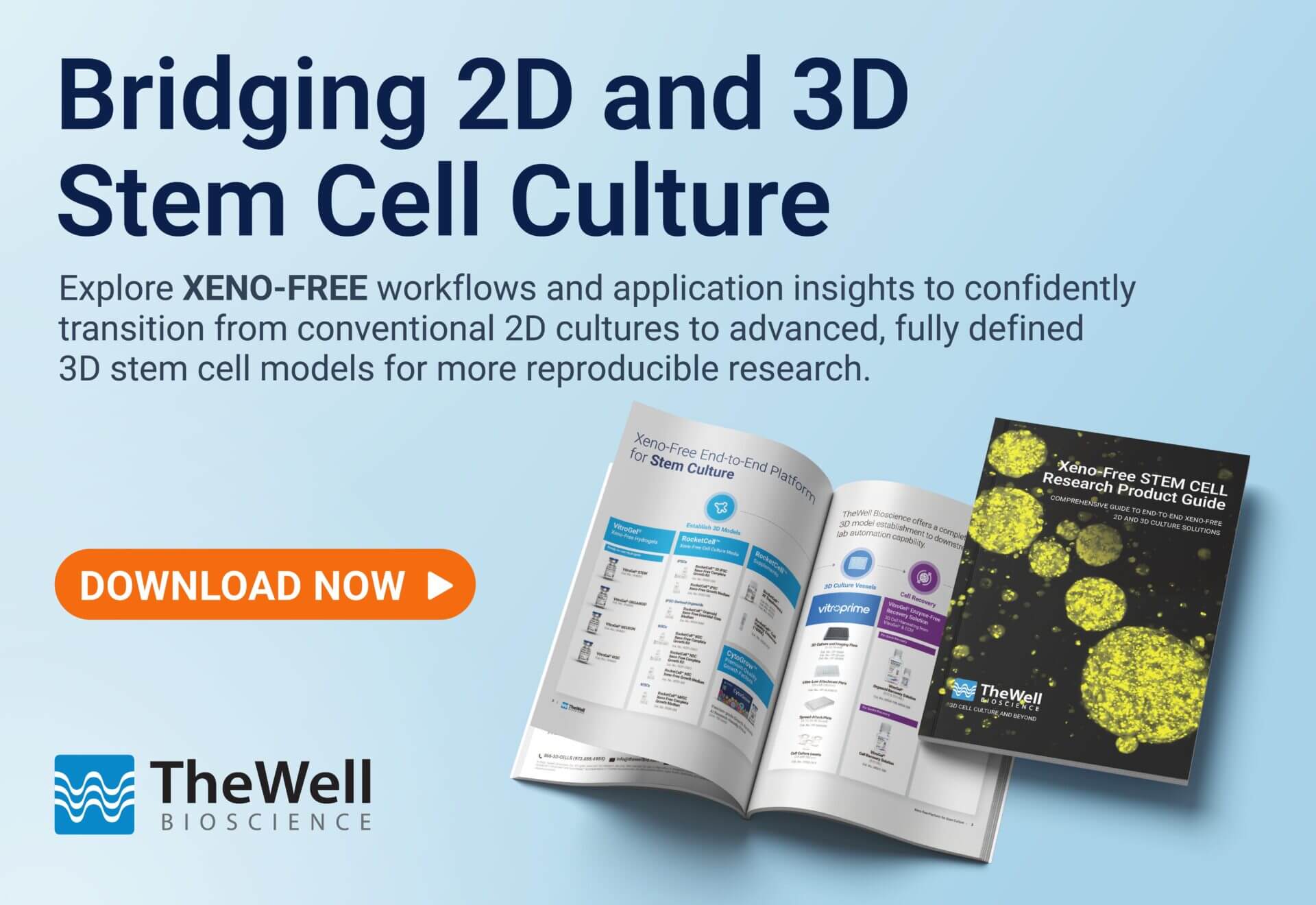 Promotional banner: 'Bridging 2D and 3D Stem Cell Culture' with an orange DOWNLOAD NOW button and open catalogs beside TheWell Bioscience logo.