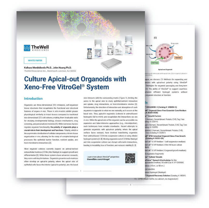 Front page of a scientific document: title 'Culture Apical-out Organoids with Xeno-Free VitroGel System' with lab vials, a plate, and a right-side diagram.