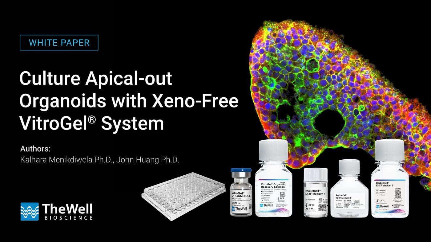 White paper cover featuring a bright, multi-color organoid image on the right and lab bottles on the bottom; title and authors on the left against a black background.