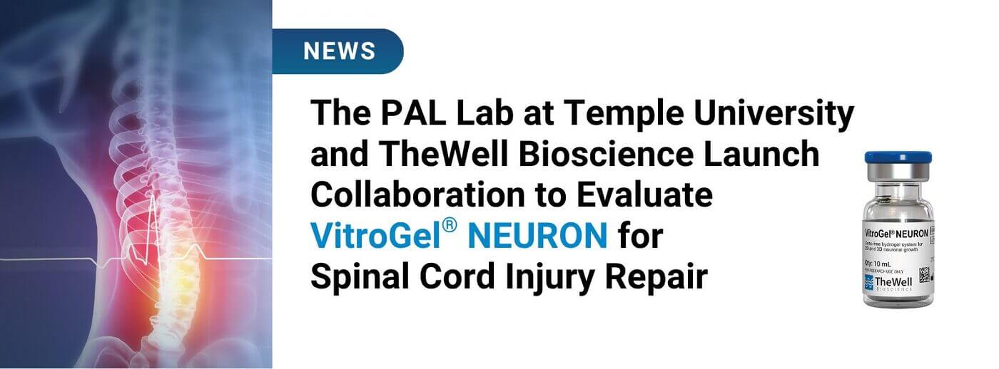 News banner with a spinal X-ray on the left and a headline about VitroGel NEURON for spinal cord repair, plus a bottle of VitroGel NEURON on the right.