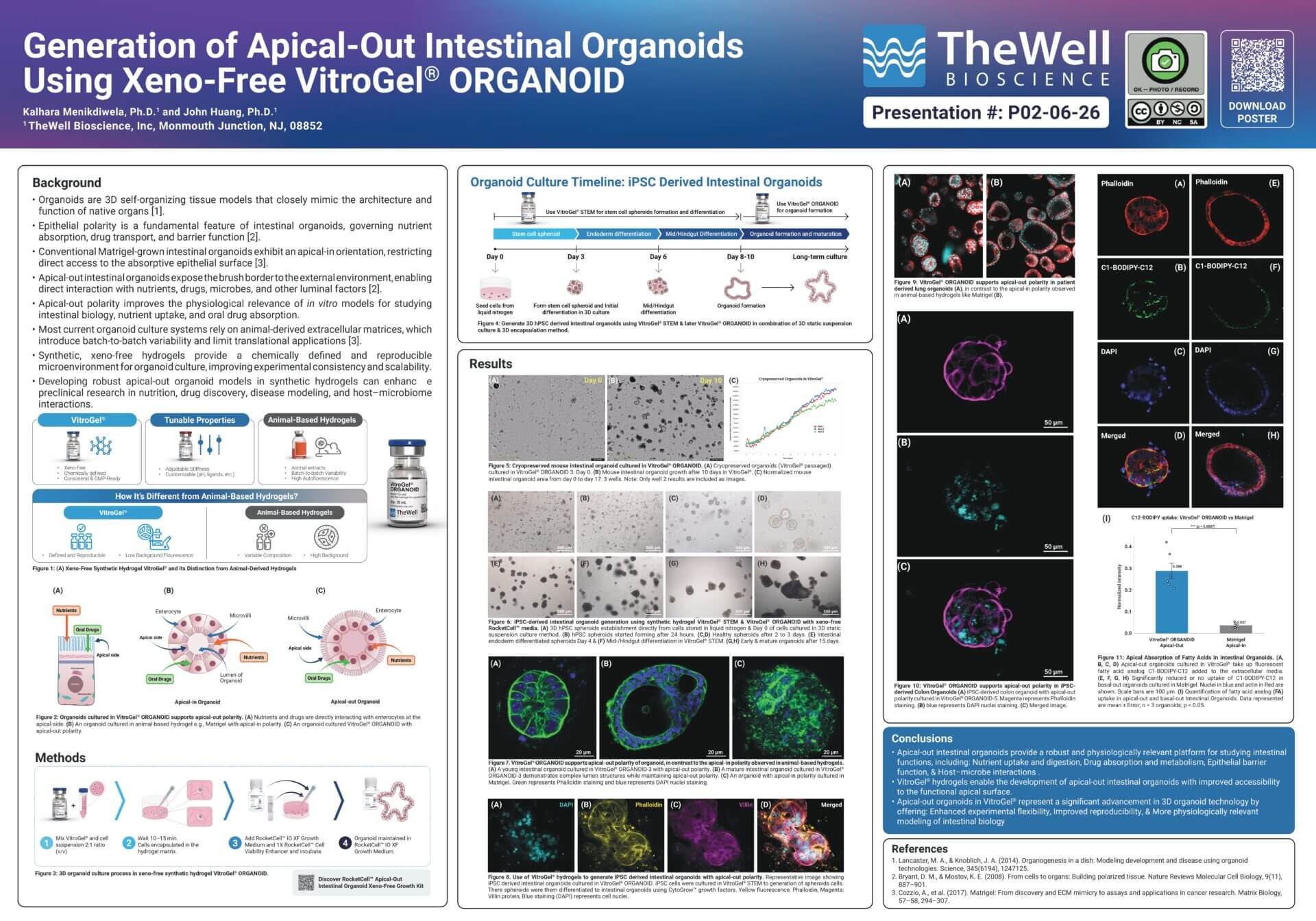 Poster on apical-out intestinal organoids using VitroGel ORGANOID; includes timeline, methods, and multiple microscopy panels.