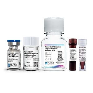 Assorted RocketCell lab reagents in labeled glass vials and bottles on a white background