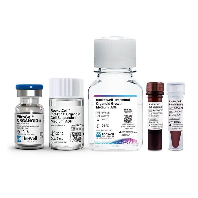 Assorted RocketCell lab reagents in labeled glass vials and bottles on a white background
