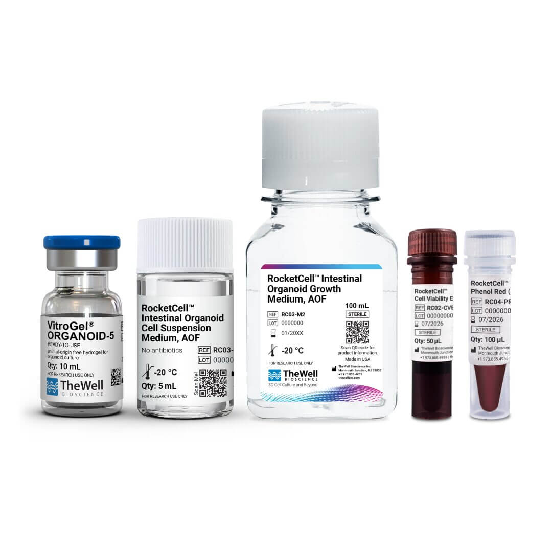 Assorted RocketCell lab reagents in labeled glass vials and bottles on a white background