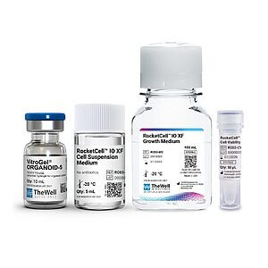 Set of four clear lab bottles with labeled cell culture media and supplements on a white background (small to large).