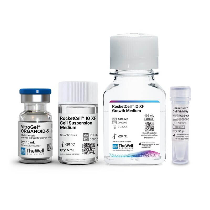 Set of four clear lab bottles with labeled cell culture media and supplements on a white background (small to large).