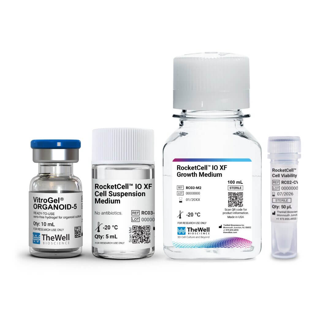 Set of four clear lab bottles with labeled cell culture media and supplements on a white background (small to large).