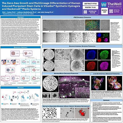 Poster-style infographic highlighting xeno-free stem cell differentiation with Abstract, IPSC Formation, and Neuroectodermal sections.