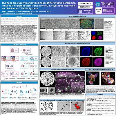 The Xeno-Free Growth and Multilineage Differentiation of Human