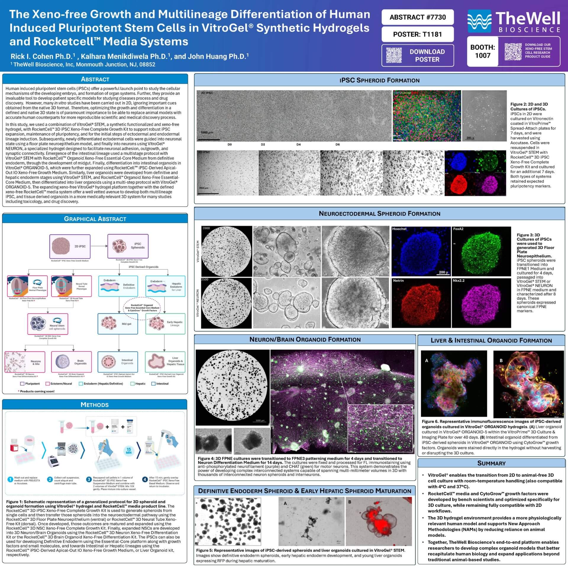 Poster-style infographic highlighting xeno-free stem cell differentiation with Abstract, IPSC Formation, and Neuroectodermal sections.