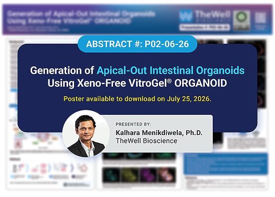 Abstract P02-06-26 poster: Generation of Apical-Out Intestinal Organoids Using Xeno-Free VitroGel ORGANOID. Poster download July 25, 2026. Presented by Kalhara Menikdiwela, Ph.D.