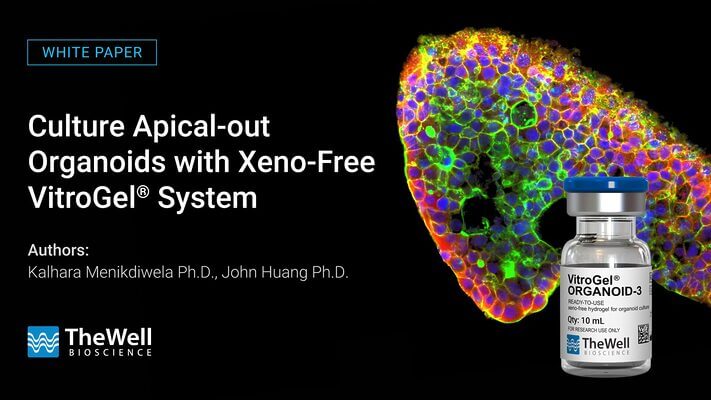 White Paper banner: colorful organoid tissue to the right with a VitroGel bottle on black background and title text on left.