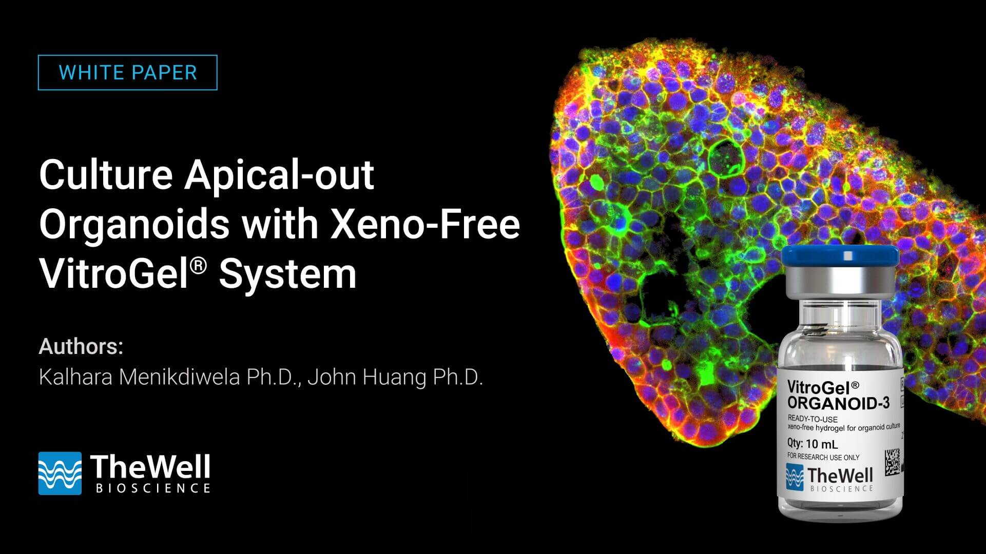 White Paper banner: colorful organoid tissue to the right with a VitroGel bottle on black background and title text on left.