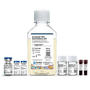 Large clear bottle labeled RocketCell NSC Basal Medium, AOF, surrounded by smaller lab vials for research use? (informational image)