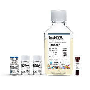 RocketCell iPSC Basal Medium bottle with several small vials on a white background (cell culture reagents set).