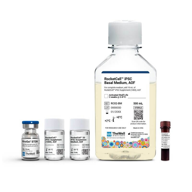 RocketCell iPSC Basal Medium bottle with several small vials on a white background (cell culture reagents set).