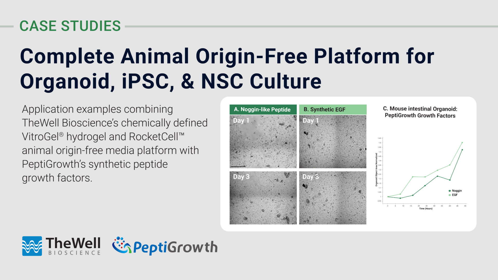 Complete Animal Origin-Free Platform for Organoid, NSC, iPSC